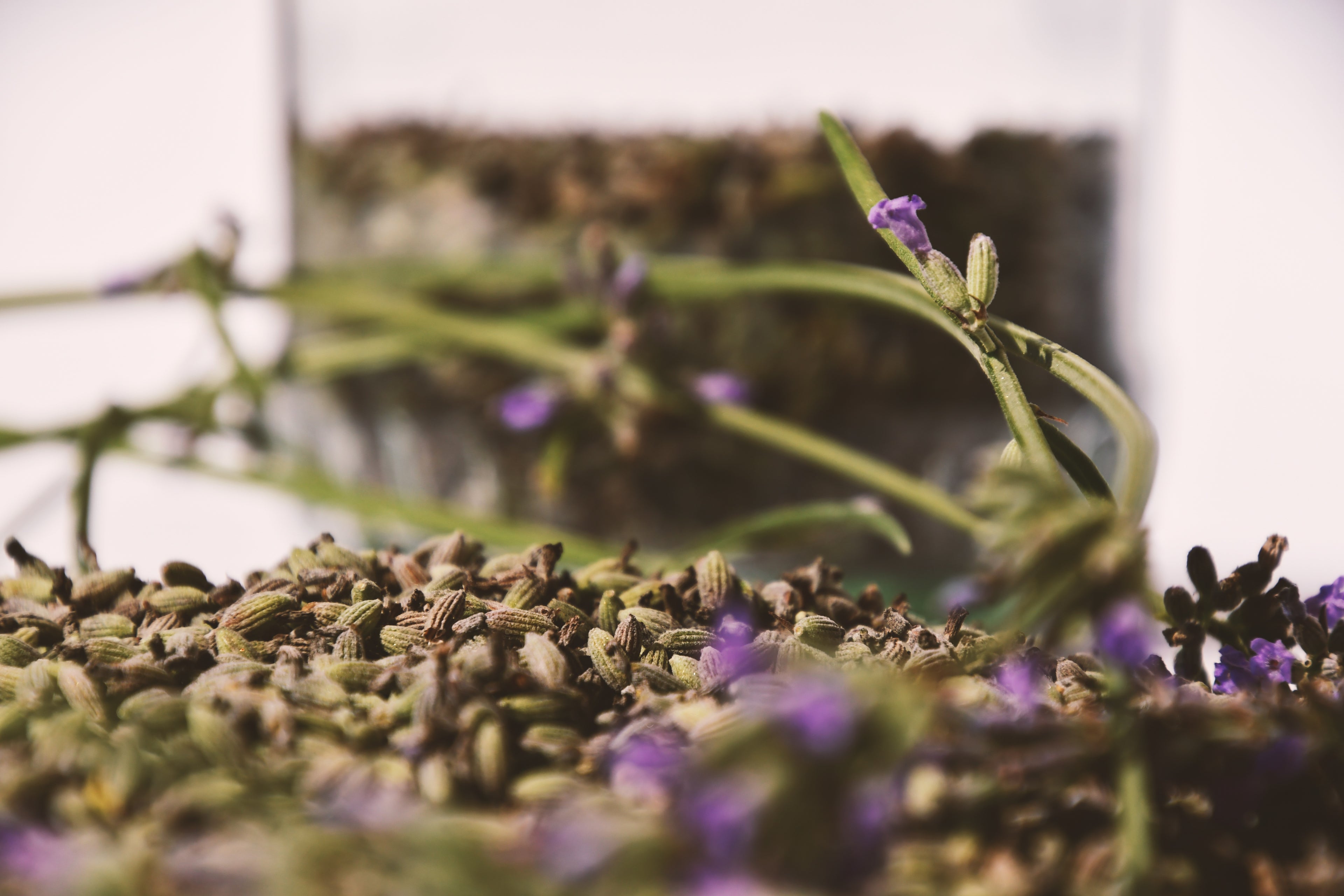 Illatosító kezelés (extra szolgáltatás)